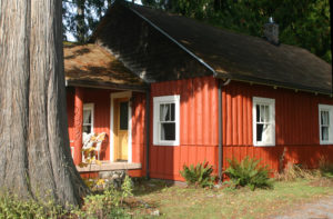 Cedar Springs Cabin