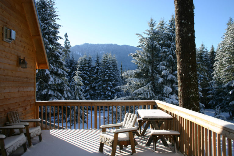 Forest Retreat