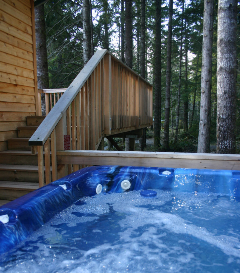 Forest Retreat