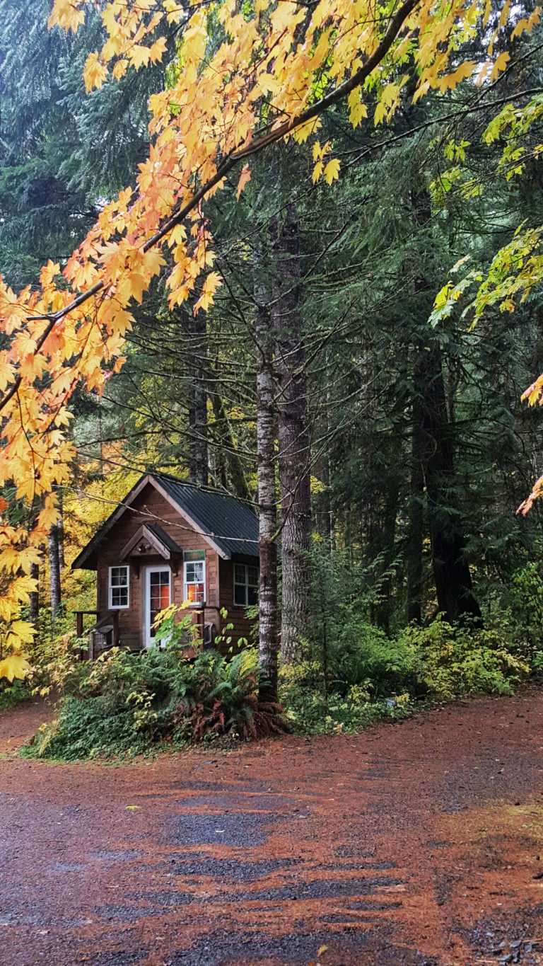 Sky and Snow Cabins
