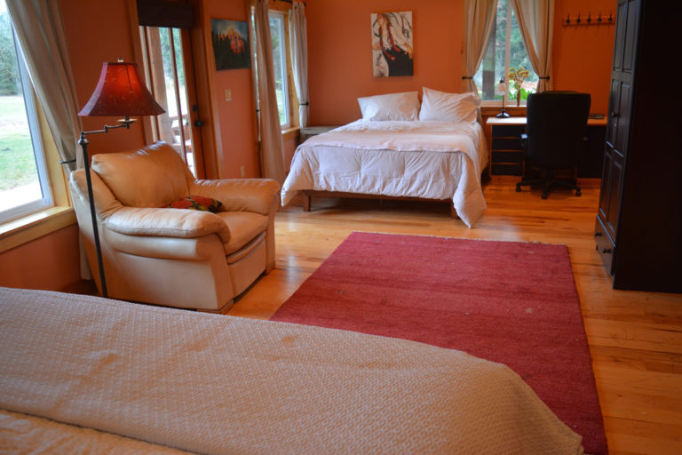 Downstairs bedroom