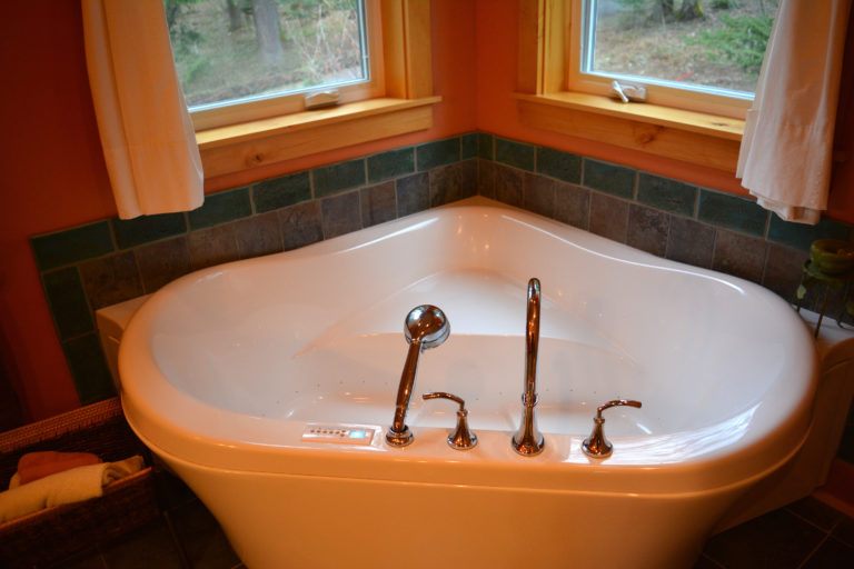 Master bathroom tub