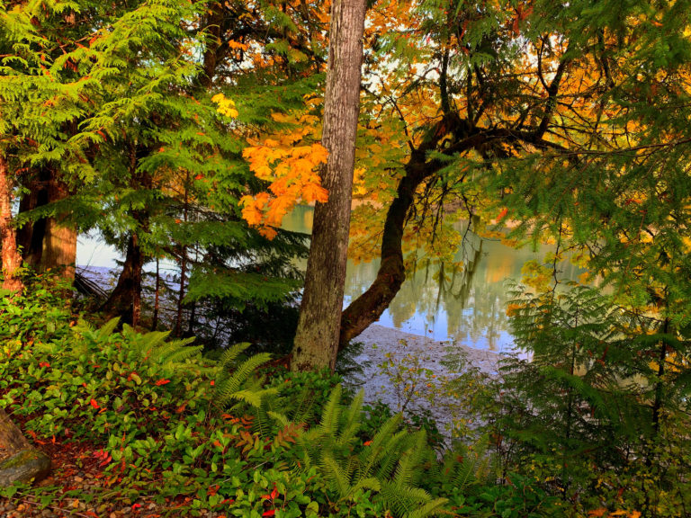 Fall