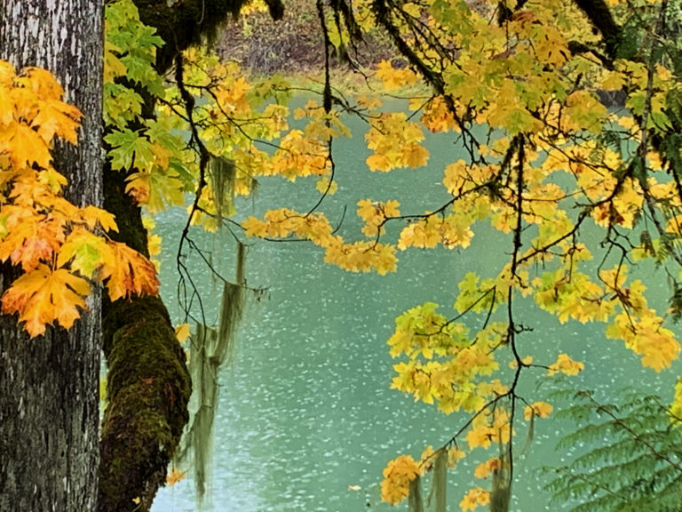 The beauty is unsurpassed