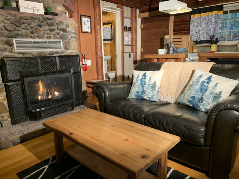 Copper Creek Log Cabin Living Room